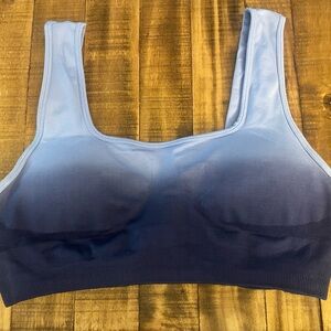 BuffBunny Blue Ombre Sports Bra